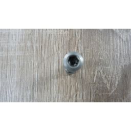 Zadelpenbout inbus rvs (2181006104584)