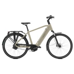 Norta B-3050 Heren uni 2025 (F.13450)