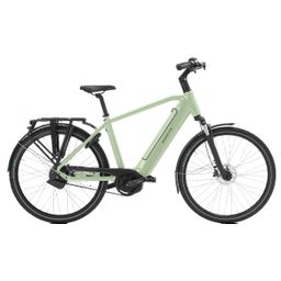 Norta B-3050 Heren uni 2025 (F.13450)