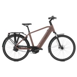 Norta B-3050 Heren uni 2025 (F.13450)