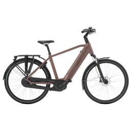 Norta B-3020 Heren uni 2025 (F.13438)