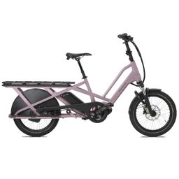 Norta C-7050 Uni 2026 (F.14520)