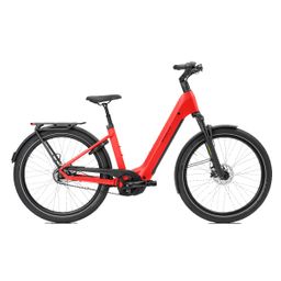 Norta B-3030 Dames Uni 45cm 2026 (F.14442)