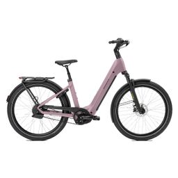 Norta B-3050 Dames Uni 45cm 2026 (F.14462)