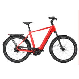 Norta B-4050 Heren Uni 49cm 2026 (F.14514)