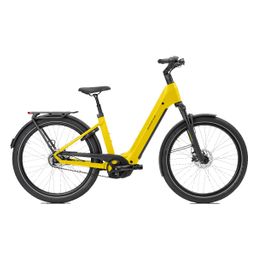 Norta B-4030 Dames Uni 45cm 2026 (F.14488)