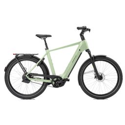 Norta B-4050 Heren Uni 57cm 2026 (F.14516)