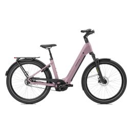 Norta B-3030 Dames Uni 55cm 2026 (F.14446)