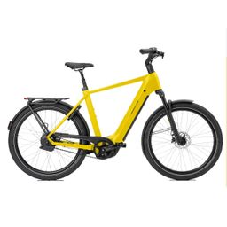 Norta B-3050 Heren Uni 57cm 2026 (F.14466)