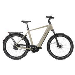 Norta B-3050 Heren Uni 57cm 2026 (F.14466)