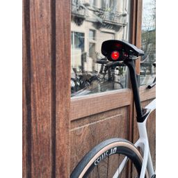 Cannondale Synapse Cashmere 56 56 2025 (0196870276420)