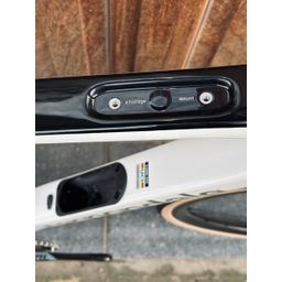 Cannondale Synapse Cashmere 54 54 2025 (0196870276413)