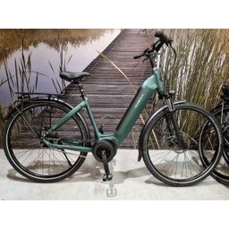 Velo de Ville AEB490, Britisch Green mat (F.18520)