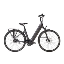 QWIC Premium I MN7+ Belt, Jet Black (8718792037662)