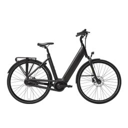 QWIC INTER Daily Dames Jet Black M 49cm 2025 (8718792548311)