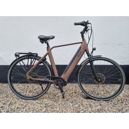 Qwic Premium I MN7+ Belt Heren Walnut Brown 59cm XL 2022 (F.21836)