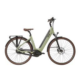 QWIC INTER Plus Dames Khaki Green M 49cm 2025 (8718792548076)