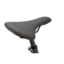 BATAVUS Fonk 3 Dames Smokingzwart Mat 53cm 2024 (8713568420303)