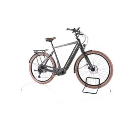 Corratec E-Power 3.0 SE CX7 750W Heren Dark Green 57cm 2024 (COEPCX7H57)