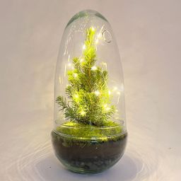 Urbanjngl DIY terrarium - Egg Christmas - Kerst decoratie ↕ 25 cm (8720872020167)
