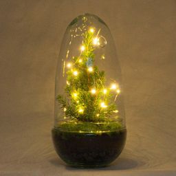 Urbanjngl DIY terrarium - Egg Christmas - Kerst decoratie ↕ 25 cm (8720872020167)