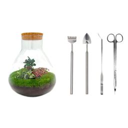 Urbanjngl DIY terrarium - Sam XL Bonsai - ↕ 35 cm - Rake + Shovel + Tweezer + Scissors (8720872020518)