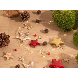 Urbanjngl Planten terrarium pakket - Mini-kerstboom - 3 planten -  Navulling & Startpakket - DIY Christmas (23439)