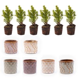 Urbanjngl Mini-kerstboom set 6 - Inclusief pot set Madrid - Draadverlichting met 20 led-lampjes (8720872023427)