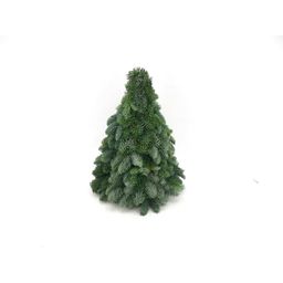 Meergroothandel Nobilis Kerstboom - ↕40cm (43401)