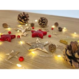 Urbanjngl Christmas Terrarium Decoration Kit! (23437)