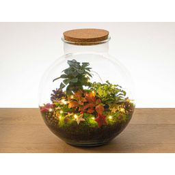 Urbanjngl Christmas Terrarium Decoration Kit! (23437)