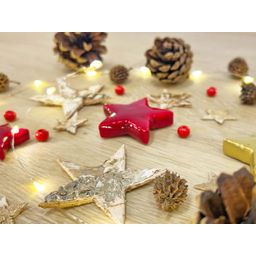 Urbanjngl Christmas Terrarium Decoration Kit! (23437)