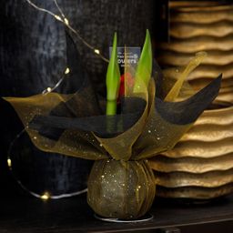 No Water Flowers® (wax amaryllis) | Wrapz - Gold + Red flower (8721225131820)