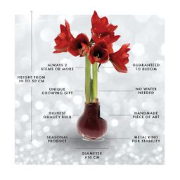 No Water Flowers® (wax amaryllis) | Fashionz Animal - Cheetah + Red flower (8721225131110)