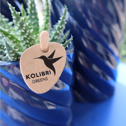 Kolibri Home | Candy sierpot | Hoog - Blue - Ø9cm (8785279222958)