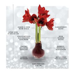 No Water Flowers® (wax amaryllis) | Fashionz Animal - Leopard + Red flower (8721225131127)