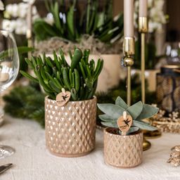 Kolibri Home | Diamond pearl sierpot - Sand - Ø9cm (8785279223238)