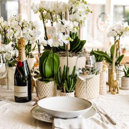 Kolibri Home | Diamond pearl sierpot - Sand - Ø9cm (8785279223238)