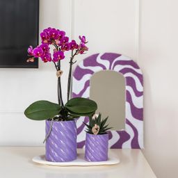 Kolibri Home | Candy sierpot | Hoog - Lilac - Ø9cm (8785279222927)