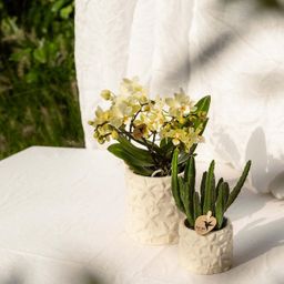 Kolibri Home | Star Fish sierpot - Off White - Ø9cm (8785279224105)