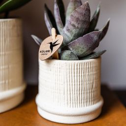 Kolibri Home | Bali sierpot - Off White - Ø6cm (8785279224075)