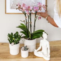 Kolibri Home | Rustic sierpot wit | Ø6cm (8785279224242)