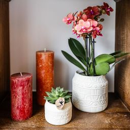 Kolibri Home | Hyroglyph sierpot - Off White - Ø9cm (8785279224082)