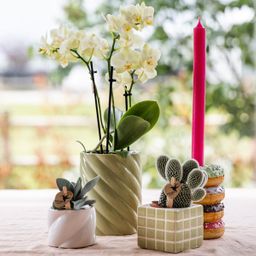 Kolibri Home | Candy sierpot | Hoog - Green - Ø9cm (8785279222972)
