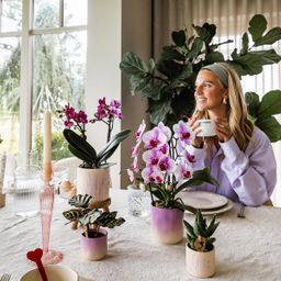 Kolibri Home | Gradience sierpot - Pink - Ø9cm (6152838482467)