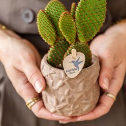 Kolibri Home | Star Fish sierpot - Sand - Ø6cm (8785279224136)