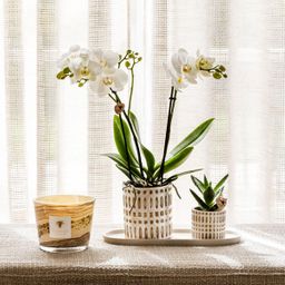 Kolibri Home | Mozaïek sierpot - Ø6cm (7865885232419)