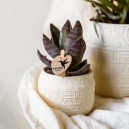Kolibri Home | Hyroglyph sierpot - Off White - Ø6cm (8785279224099)