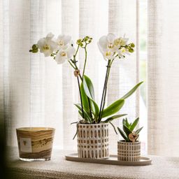 Kolibri Home | Mozaïek sierpot - Ø9cm (7865885231399)