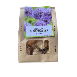 Kh bloembollen Globemaster - Allium bollen 5 stuks (08720256864585)
